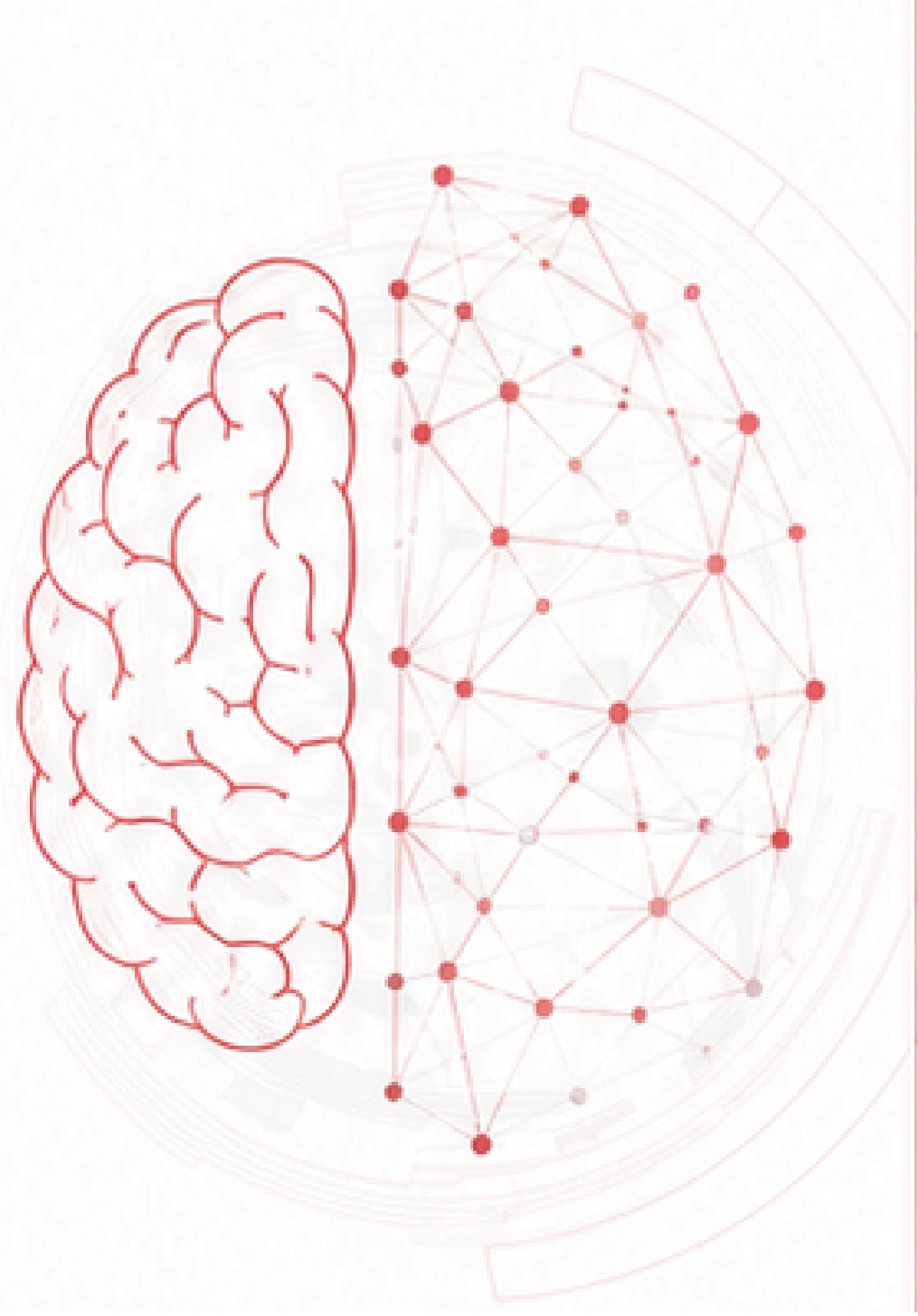 Brain Illustration
